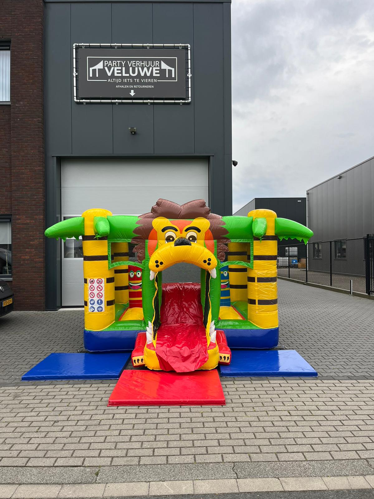 springkussen leeuw met valmatten